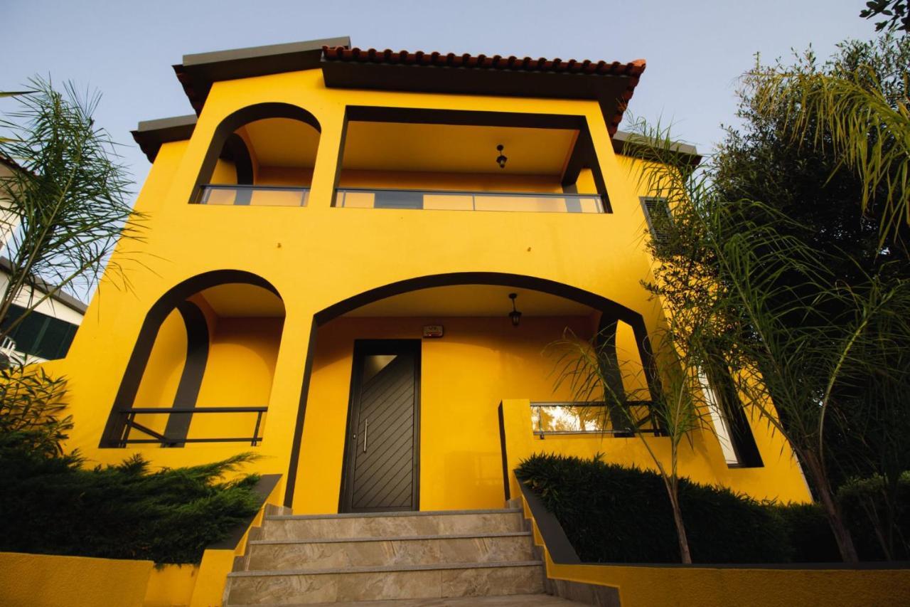 Villa Strelitzia Funchal  Kültér fotó