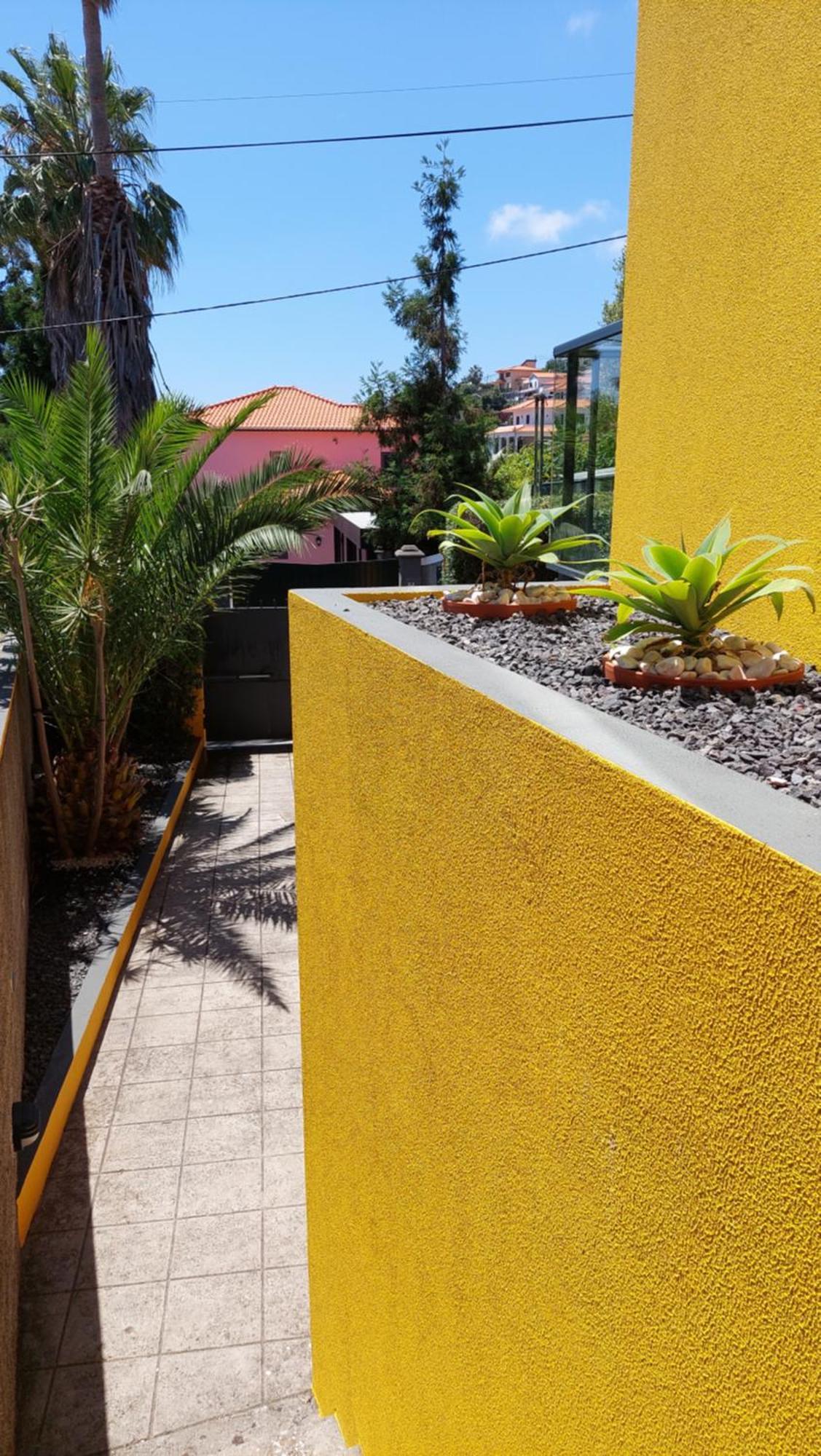 Villa Strelitzia Funchal  Kültér fotó