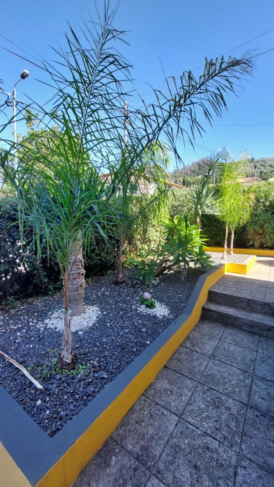Villa Strelitzia Funchal  Kültér fotó