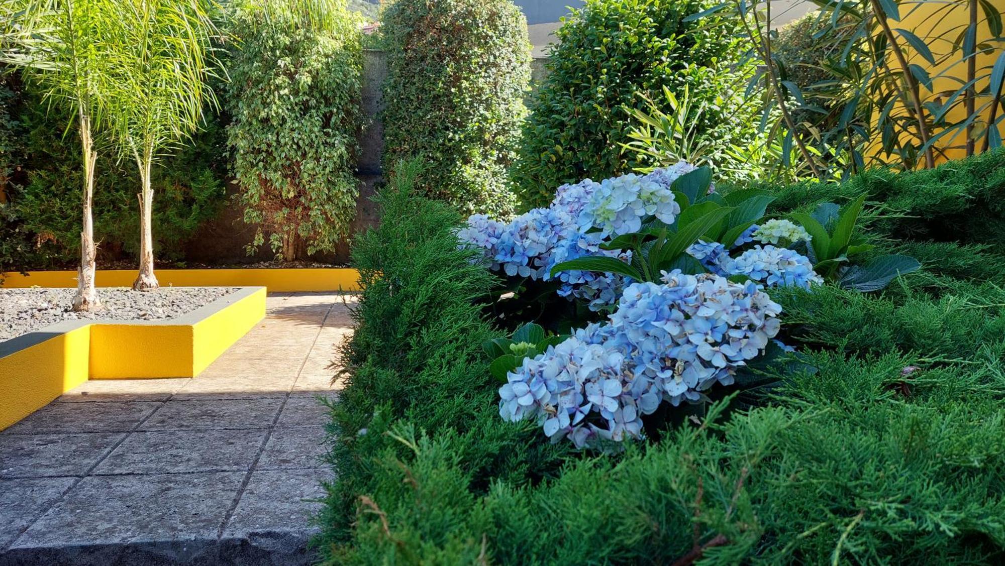 Villa Strelitzia Funchal  Kültér fotó
